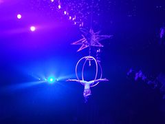 -珠海横琴长隆《卡卡虎奇遇记》