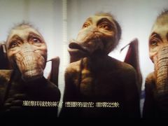 -幸福蓝海国际影城(宜昌水悦城店)