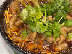 -阆中马记特色砂锅(新村路西段店)