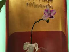 -泰乐道·SPA·按摩·足道(坡子街店)