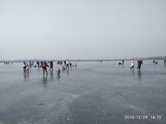 -丁香湖公园