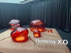 -精绝七日-新疆尼雅遗址数字大展【拉法耶文化艺术中心】