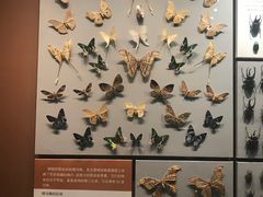 -天津自然博物馆