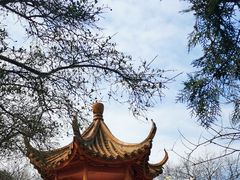 -甘井子公园