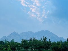 -禅宗少林·音乐大典