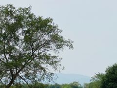 -良渚古城遗址公园