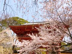 -醍醐寺