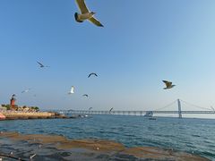 -星海广场