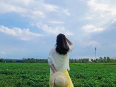 -映月湖中央公园