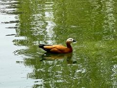 -团结湖公园