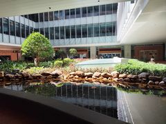 -香港大学