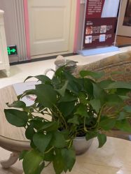 -北京俪婴妇产医院(朝阳大悦城店)