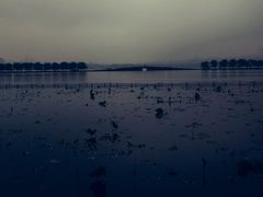 -西湖游船