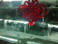 -长春公园(普阳街道)