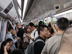-红树湾(地铁站)
