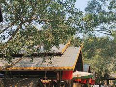 -西双版纳傣族园