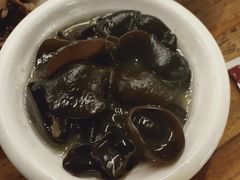 -百利鸽王(紫薇路店)
