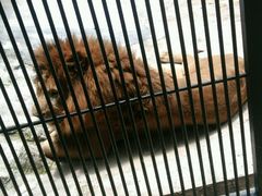 -广东茂名森林公园