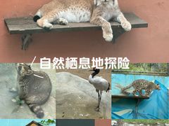 -青藏高原野生动物园