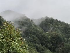 -秦岭风景区