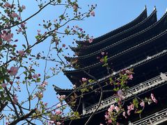 -常熟方塔园