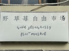 -野草莓自由市场