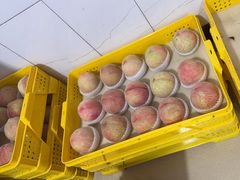 -老袁家蜜桃农场·阳山水蜜桃