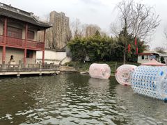 -水绘园