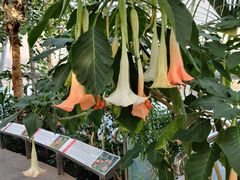 -北京植物园-展览温室