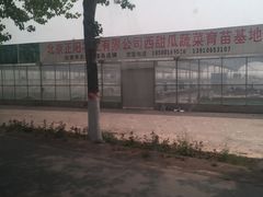 -西瓜小镇
