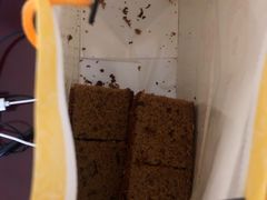 -五道口枣糕王(成府路店)