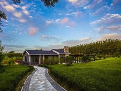 -黄海国家森林公园