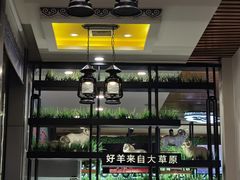-313羊庄·羊肉火锅烧烤(李村店)
