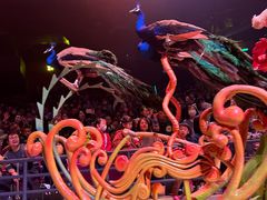 -广州长隆国际大马戏