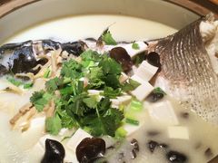 姜君千岛湖鱼头-姜君·千岛湖鱼头馆(浦东大道店)