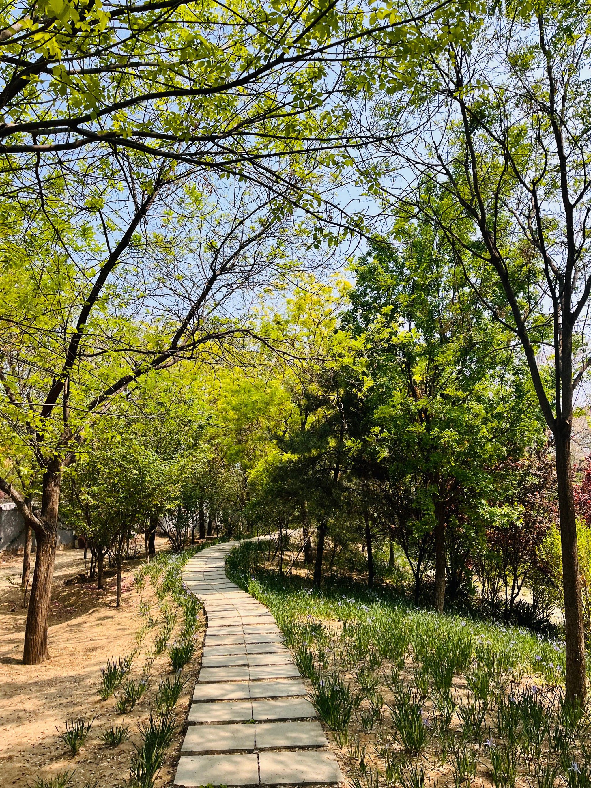 百子湾休闲公园