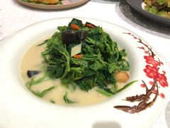 -红棉中餐厅·广州海航威斯汀酒店