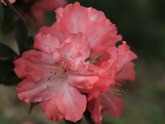 -上海滨江森林公园