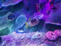 -沈阳海洋探索中心