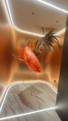 -禾美科技美肤·芳香疗愈SPA联合会所