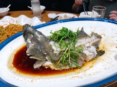 石斑鱼-琼菜王(南海店)
