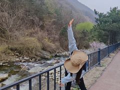 -少华山国家森林公园