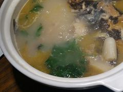 鮰鱼-韶山冲湘菜馆(大明湖店)