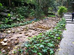 -火炉山森林公园
