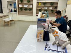 -凯瑞希宠物医院·狂犬免疫·微创·皮肤科