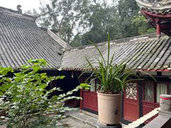 -都江堰普照寺