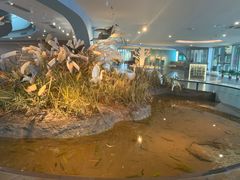 -漩门湾国家湿地公园