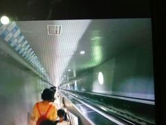 -白鹤梁水下博物馆