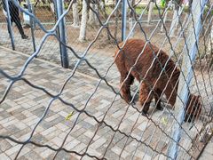 -长白岛森林公园