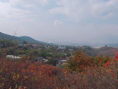 -北京西山国家森林公园